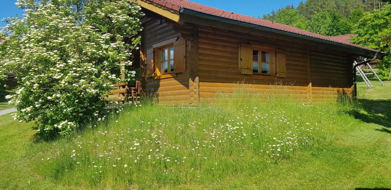 Blockhaus Stamsried Vila Exterior foto