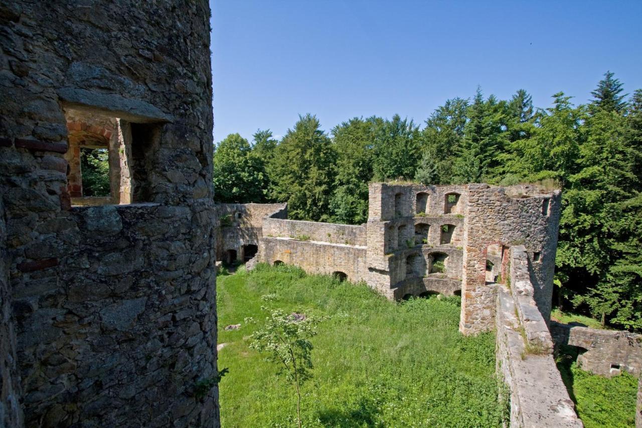 Blockhaus Stamsried Vila Exterior foto